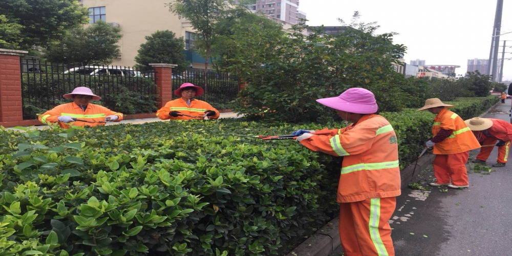 新站區(qū)道路清掃保潔、綠化管養(yǎng)項(xiàng)目