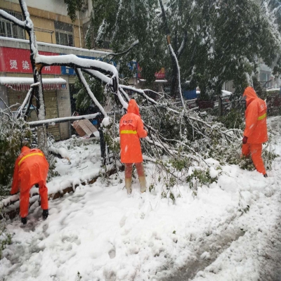 新站區(qū)道路清掃保潔、綠化管養(yǎng)項目